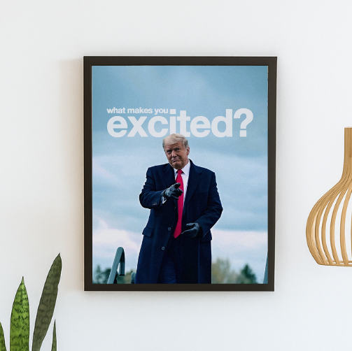 What makes you excited - Donald Trump